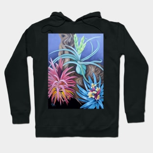 Blue Banded Bee Bromeliads Hoodie